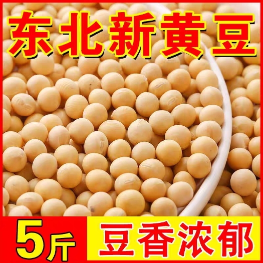 东北黄豆农家自产打豆浆豆腐专用发豆芽黄豆酱黑龙江五谷杂粮