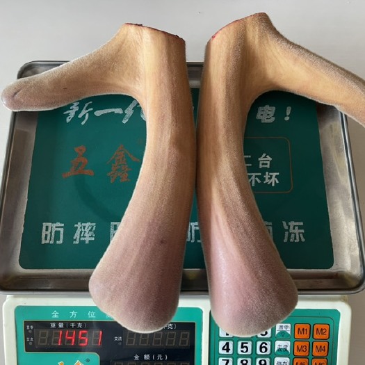 长春新鲜梅花鹿茸 新鲜鹿茸血产地批发