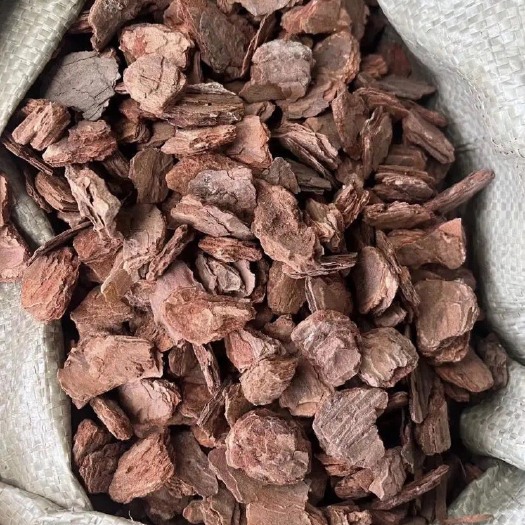 大悟县松树皮 纯松皮