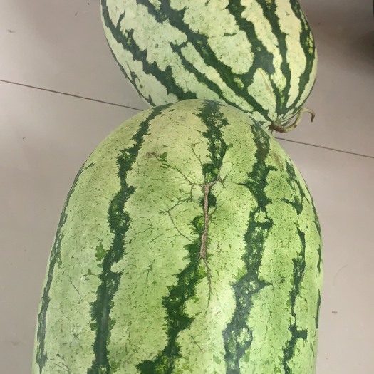 平度市西瓜