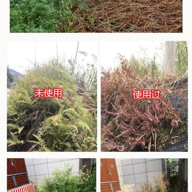 甲嘧磺隆除草神劑 雜草除草甲嘧磺蕯公路鐵路專