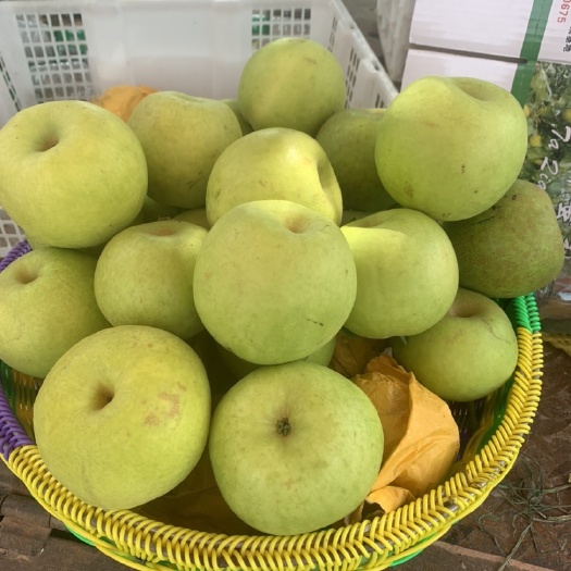 贵溪市翠玉和翠冠 低价出