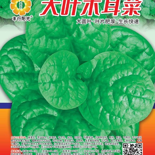 成都大叶木耳菜种子