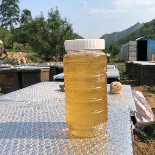 襄樊蜂蜜
