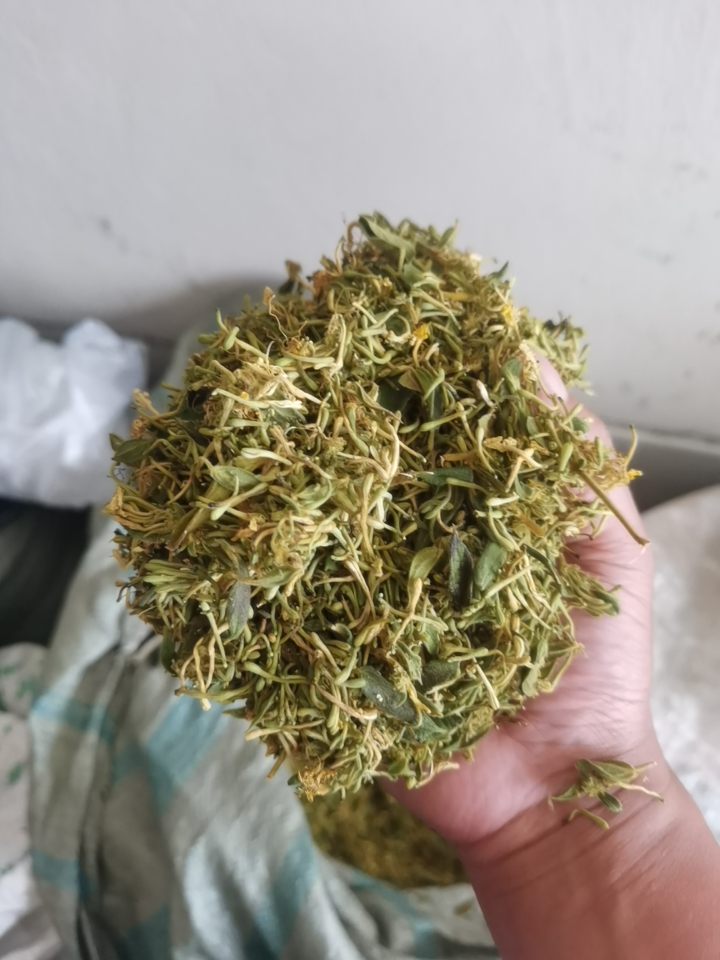 安龙县金银花统货