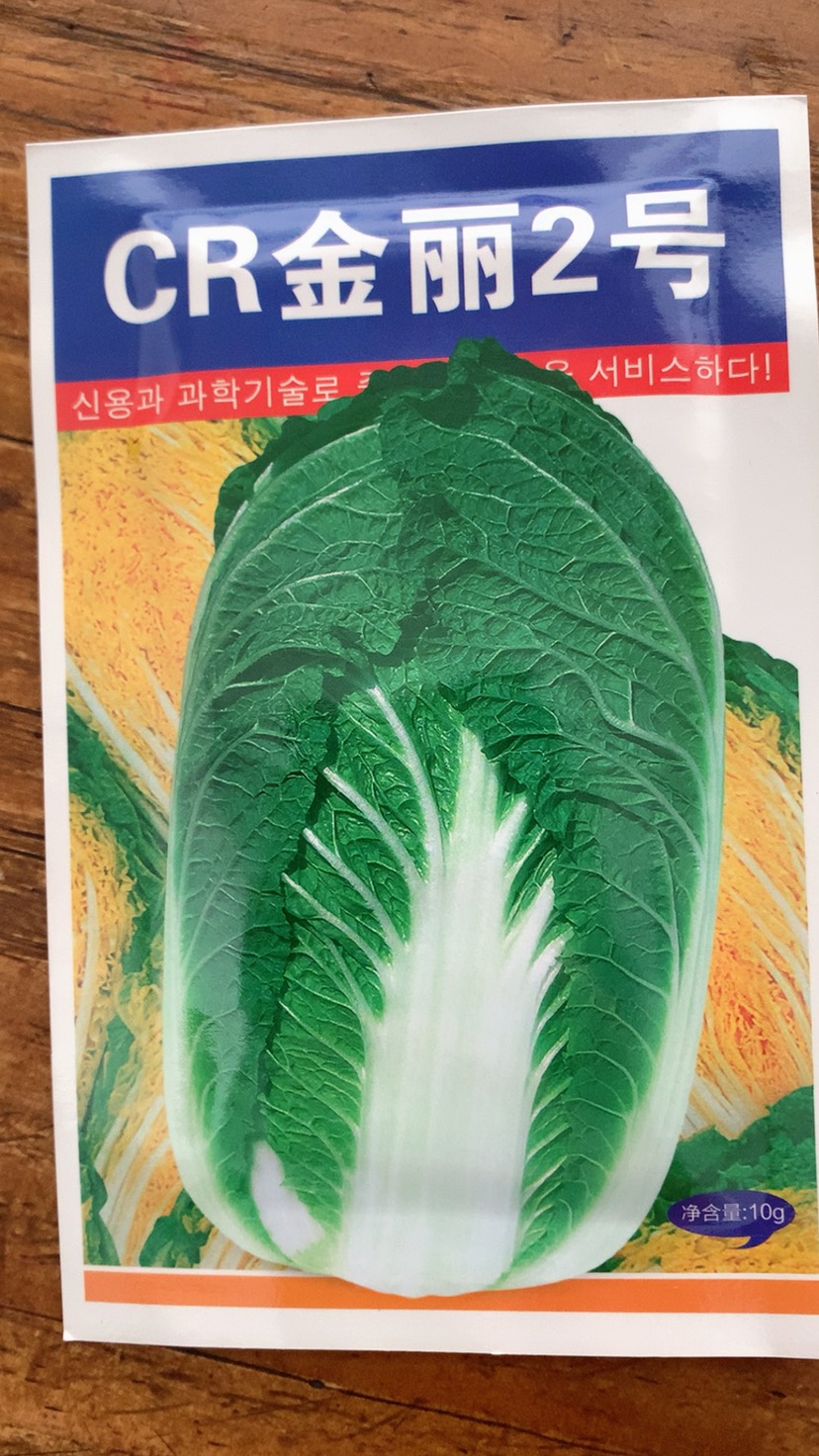 韩国抗病大白菜CR一金丽2号