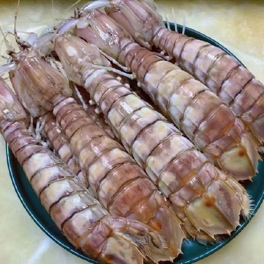 北海北海皮皮虾/赖尿虾虾姑/螳螂虾/活煮皮皮虾/精选高品质 一手