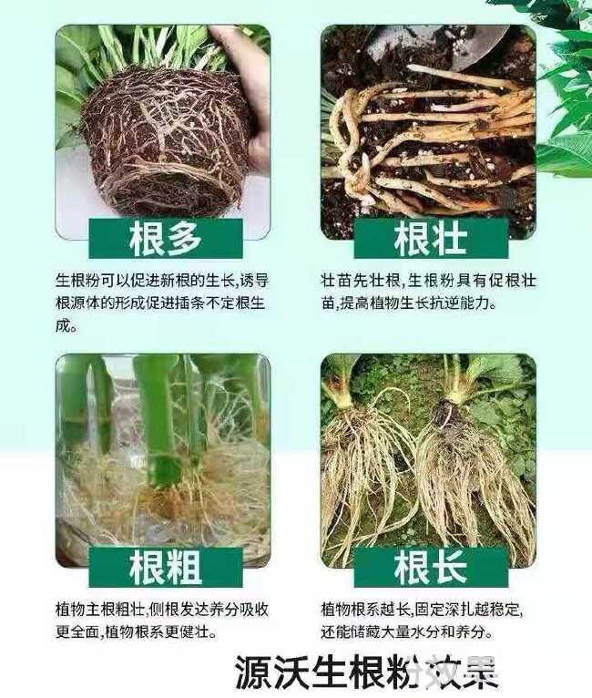 生物有机菌肥，有机质50%有效活性菌每克两亿，黄腐酸肉粉，