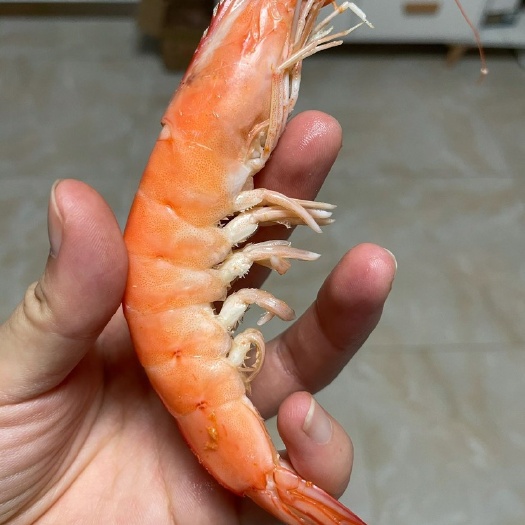 宁波对虾