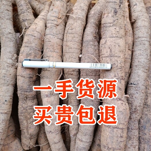 新鲜牛大力鲜货薯煲汤泡酒好料规格齐全