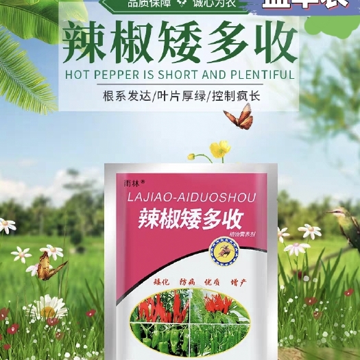 扶沟县辣椒矮多收，根系发达/叶片厚绿/控制疯长。