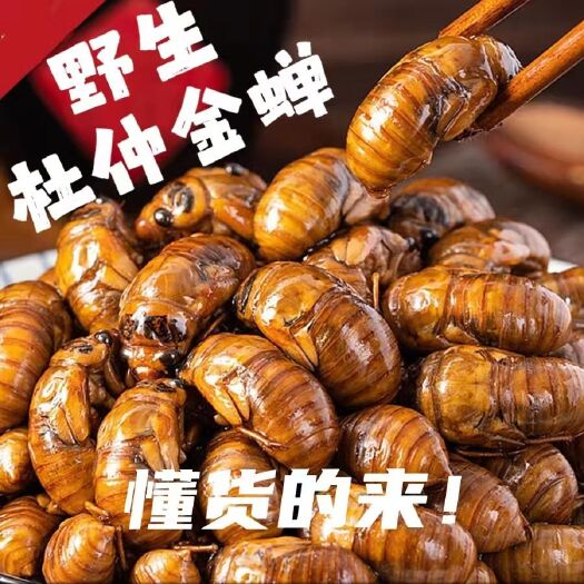 灵宝市2024新鲜知了猴杜仲金蝉爬叉猴麻吉溜