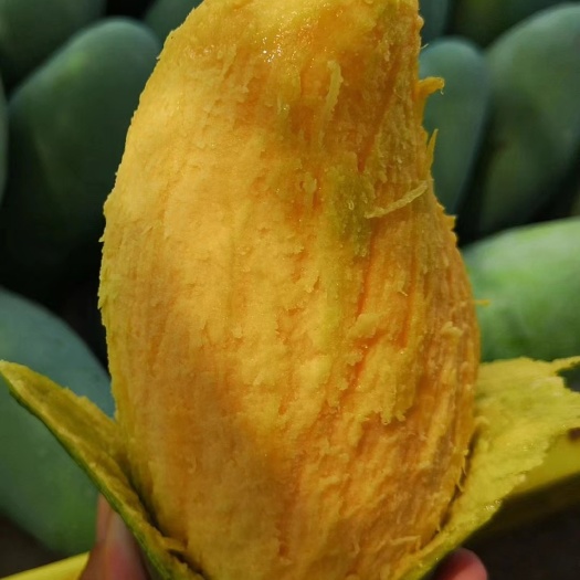 田东县桂七芒果十斤礼盒包邮｜大果100/2箱 中果100/3箱