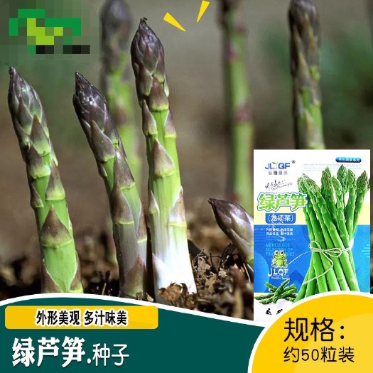 绿芦笋种子 农田菜园蔬菜多年生口感脆种植容易蔬菜芦笋龙须菜籽