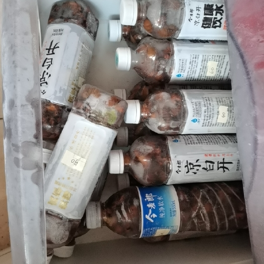 诸城市金蝉