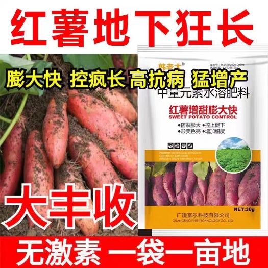 扶沟县红薯膨大，地下狂长不裂，控旺增产，增甜