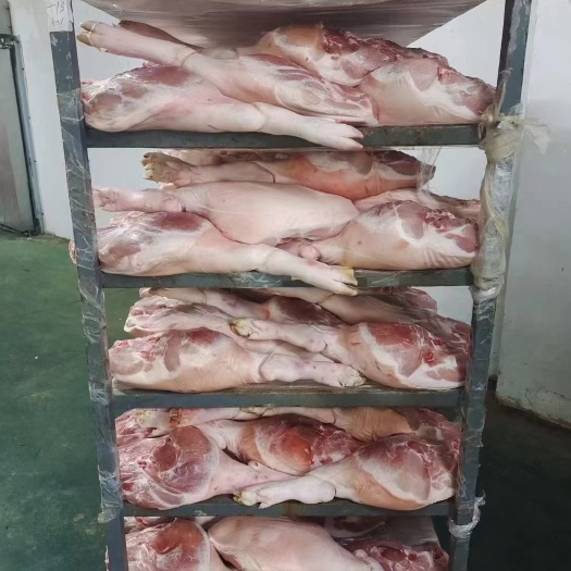 高邑县7-9带脚火腿，新货，手续齐全