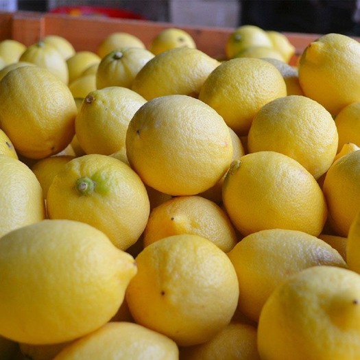 安岳县安岳柠檬尤力克小果（40-70g）源产地直发产地厂家一手价