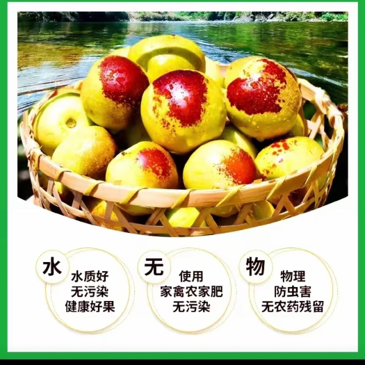 大荔县红薯西瓜冬枣黄花菜农产基地大荔特产区