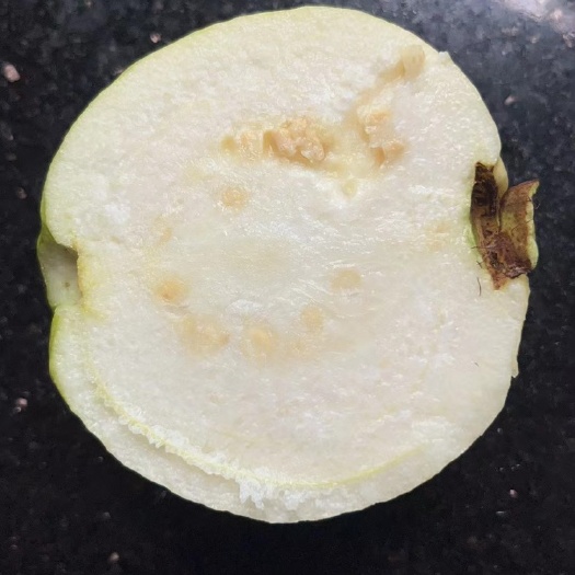 番石榴，珍珠白