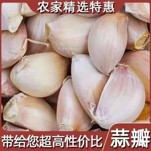 夏邑县大蒜瓣