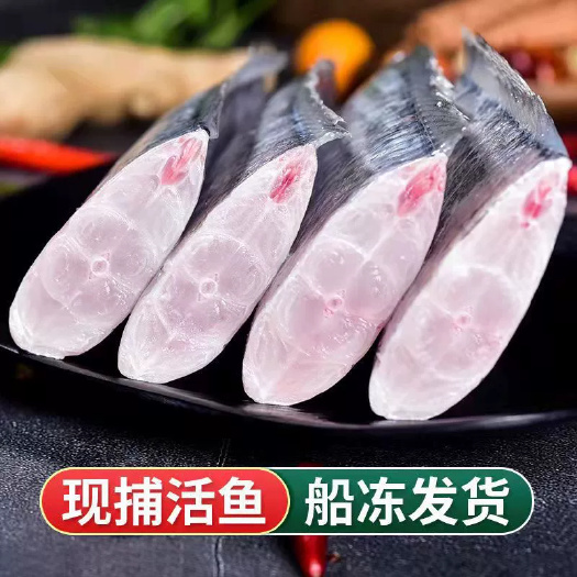 带鱼【精品带鱼】舟山小眼带鱼中段新鲜带鱼东海海鲜冷冻批发