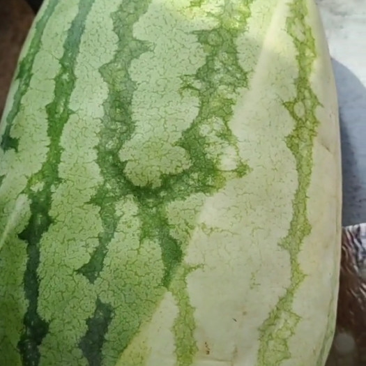 汉寿县沙漠西瓜，特种培育。10斤以上。