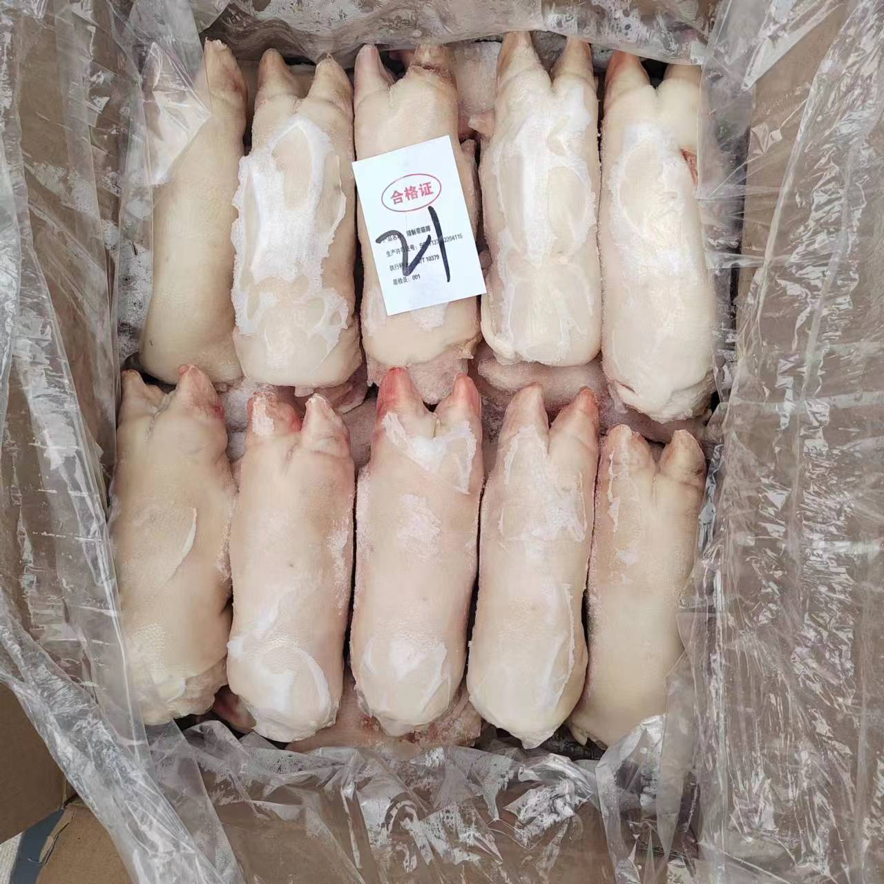 新鮮豬蹄 冷凍帶筋豬前蹄 生鮮豬手 20斤 豬肘子 飯店鹵菜