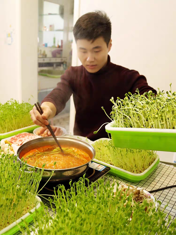 豆芽发芽盆芽苗菜育苗托盘无土栽培水培蔬菜设备豆芽盆