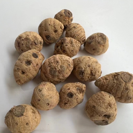 文山市血三七云南特产500g