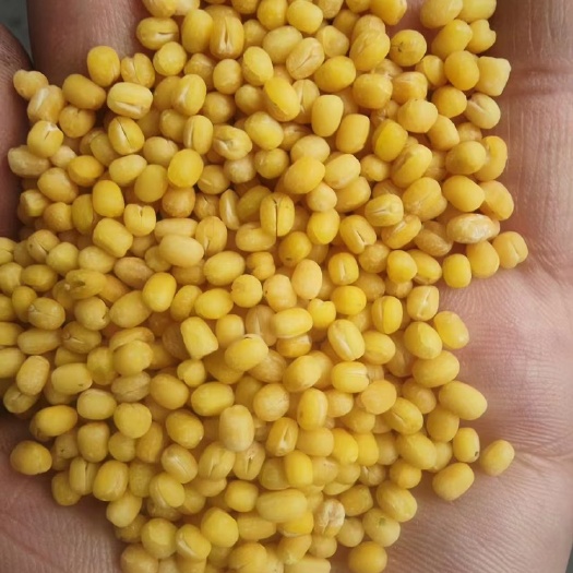 临沂脱皮绿豆脱皮绿豆瓣食品馅料糕点