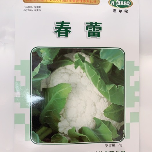 成都春蕾白花菜
