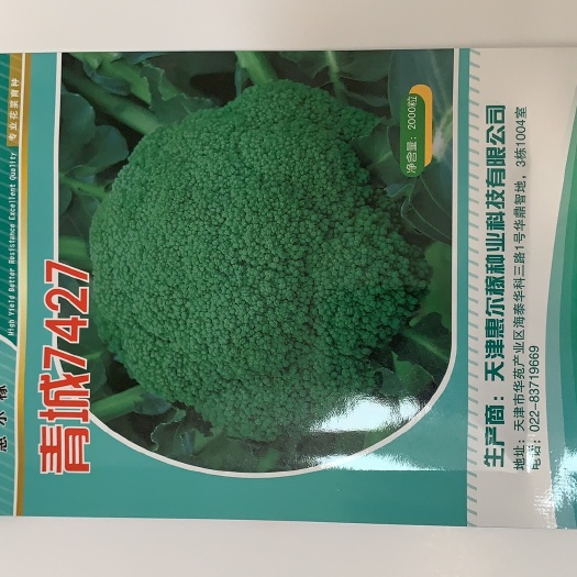 成都青城7427西兰花种子