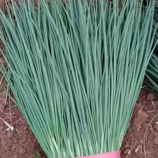 邯郸大量上市