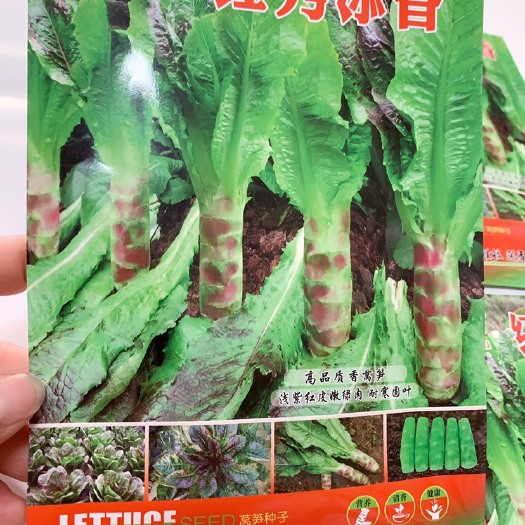 成都红秀添香窝笋
