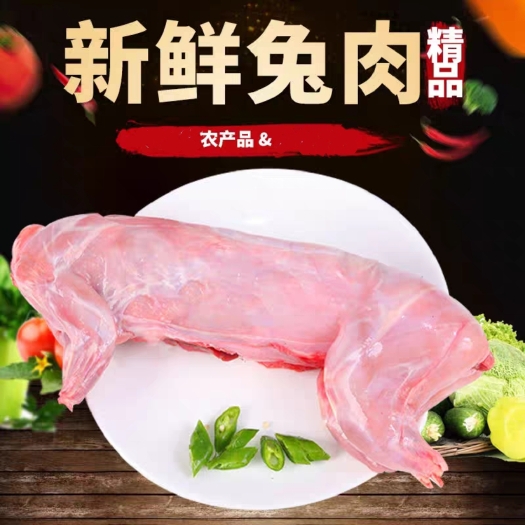 临沂新鲜兔肉活兔现杀实用白条净重2-7斤包邮坏单包赔