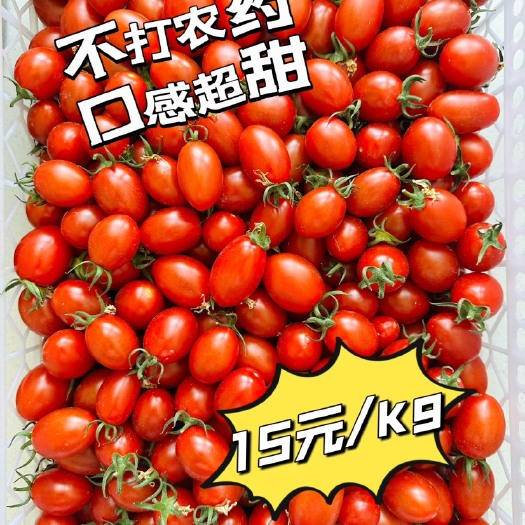 千禧圣女果，小番茄，不打农药，口感比一般圣女果甜