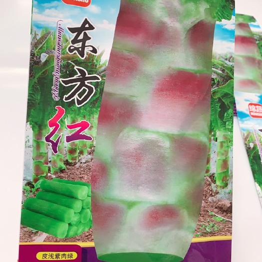 成都东方红尖叶窝笋