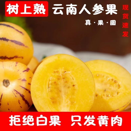 昆明云南石林人参果