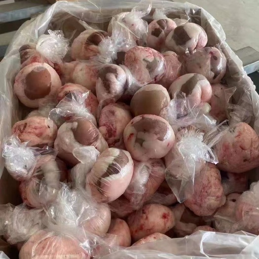 原油羊腰子，规格齐全