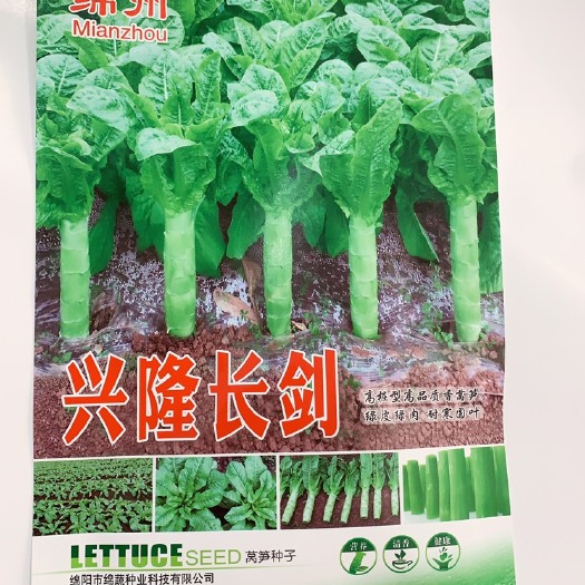 成都兴隆长剑窝笋种子