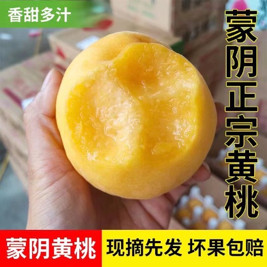 蒙阴县锦香黄桃它最大的特点就是有着很香的桃香味