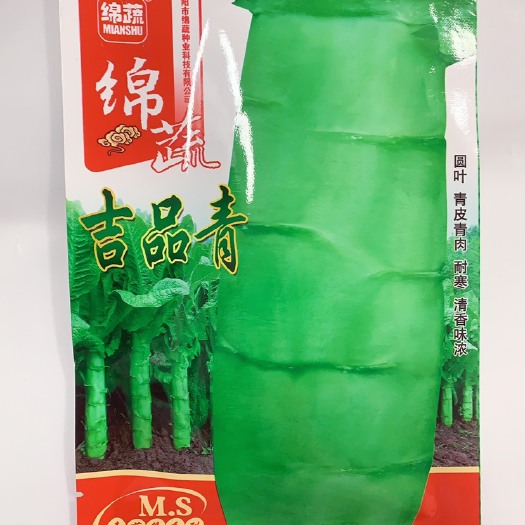 成都吉品青窝笋种子