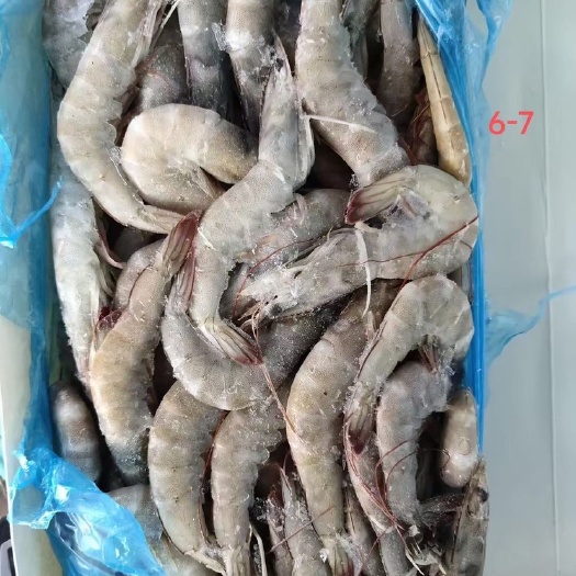 青岛虾皇水冻1.8kg *6盒，批发一件代发