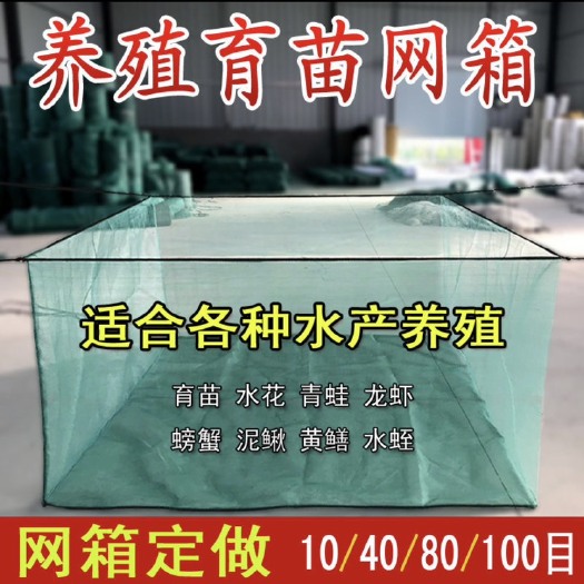 养殖网箱泥鳅黄鳝龙虾螃蟹养殖网箱存鱼育苗定做加盖网箱