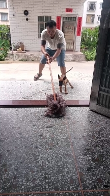 阳春市狗