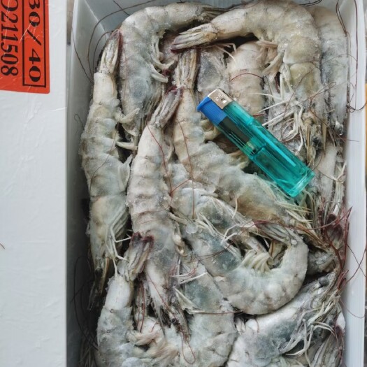 连云港厄瓜多尔白对虾盐冻虾青岛大虾南美白对虾3040规格