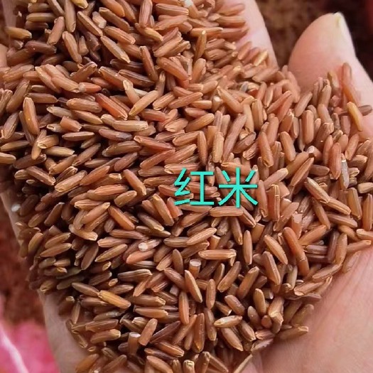 临沂红米红粳米五谷杂粮批发