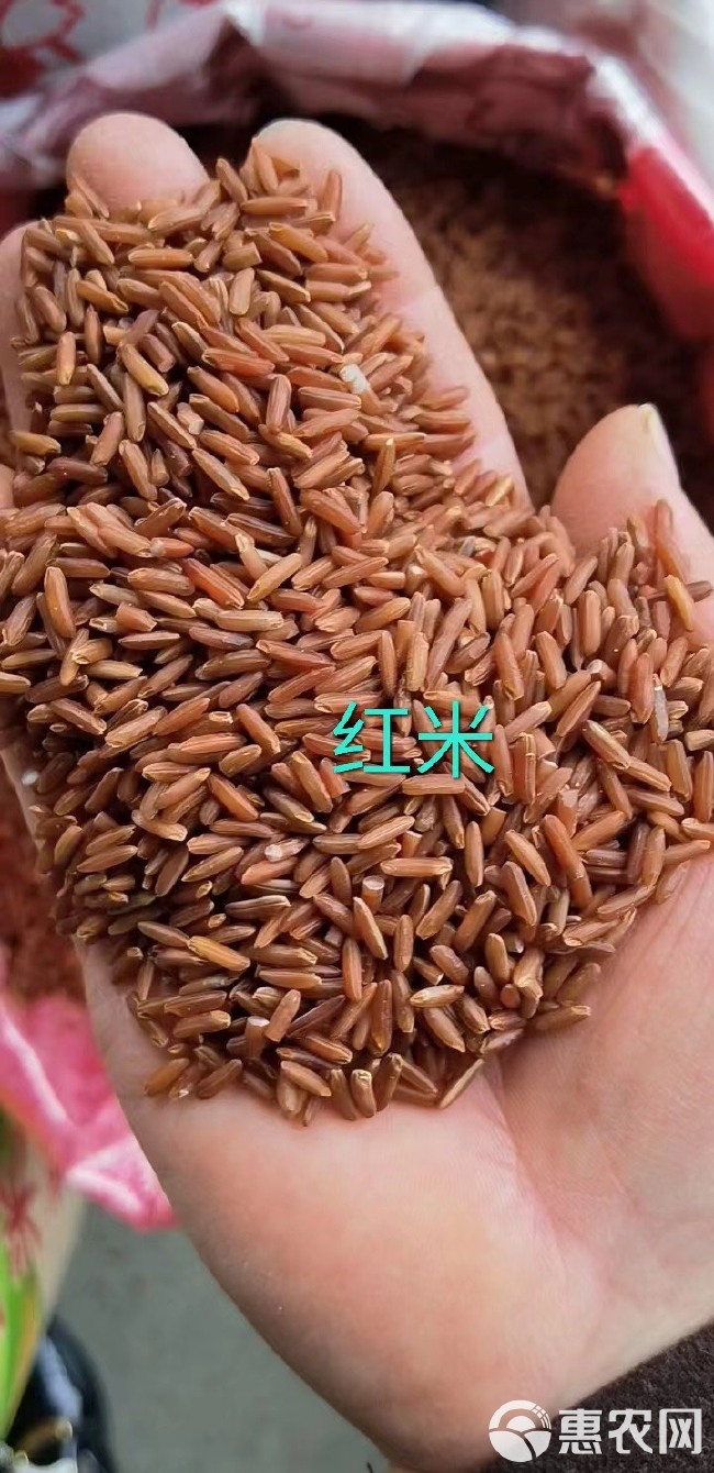 红米红粳米五谷杂粮批发