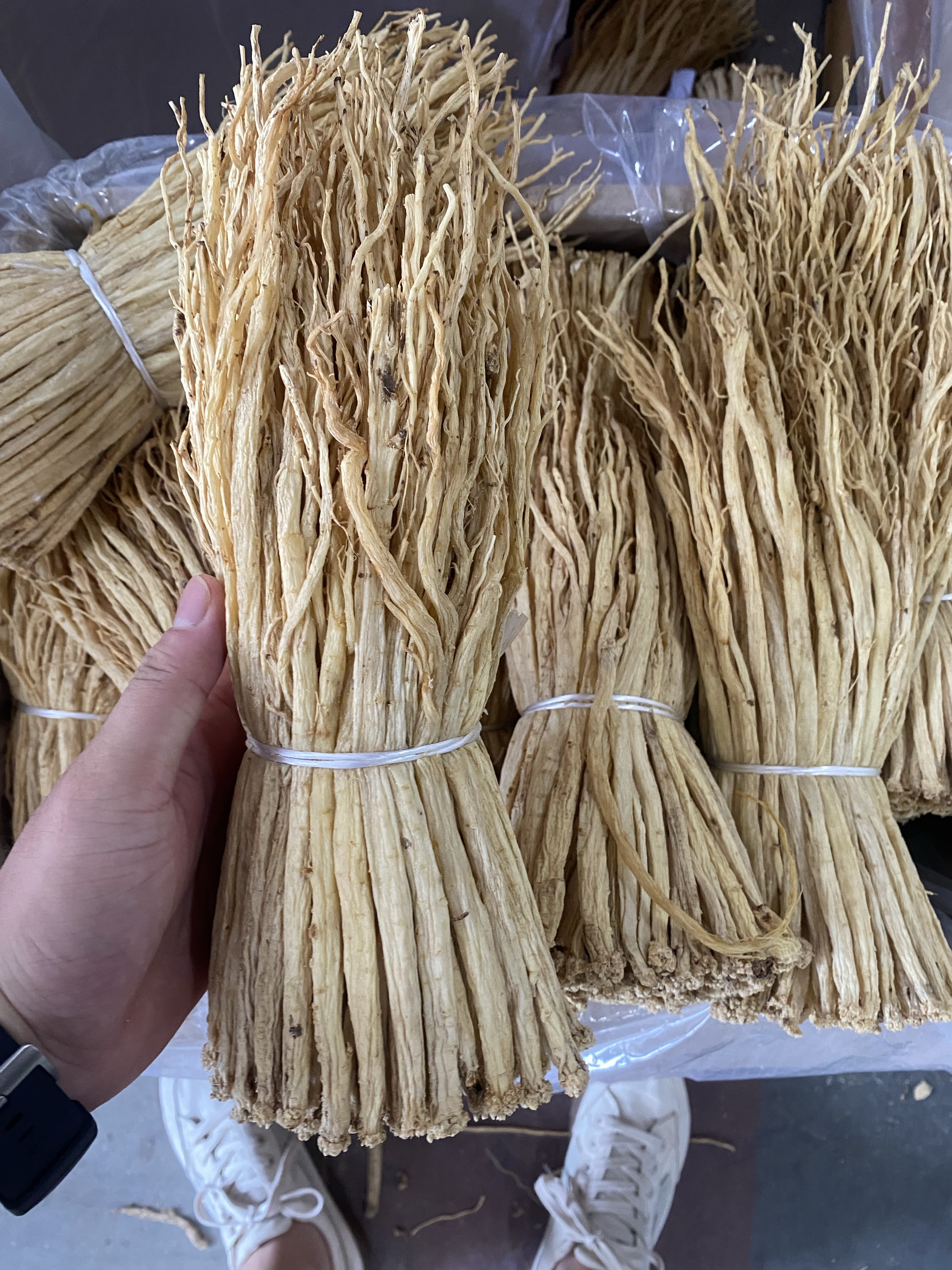 党参中扎0.6-0.8公分足干颜色白亮新货包邮产地直销价格优